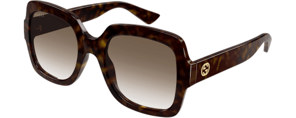 HAVANA-HAVANA-BROWN / BROWN