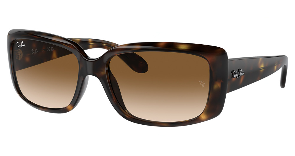 Ray-Ban RB4389 round sunglasses in Havana/Clear Gradient Brown
