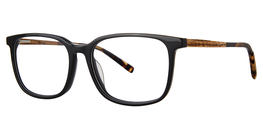 black/tortoise