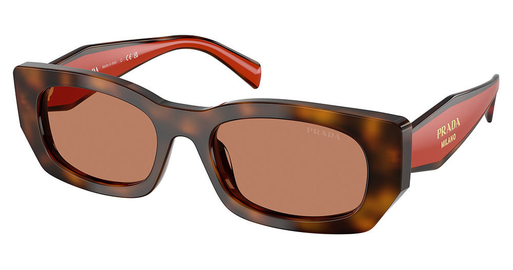 JUNIPER TORTOISE/COTTO / BROWN