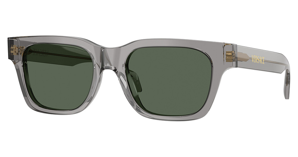 DARK TRANSPARENT GREY / DARK GREEN