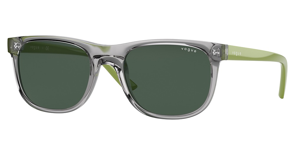 GREY TRANSPARENT / DARK GREEN
