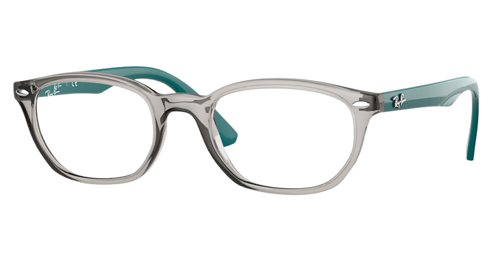 Ray-Ban RY1599 round eyeglasses in Transparent Grey