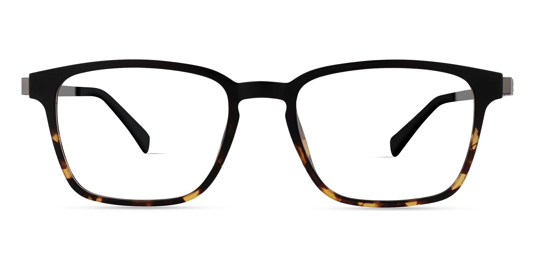 Black / Tort Gradient
