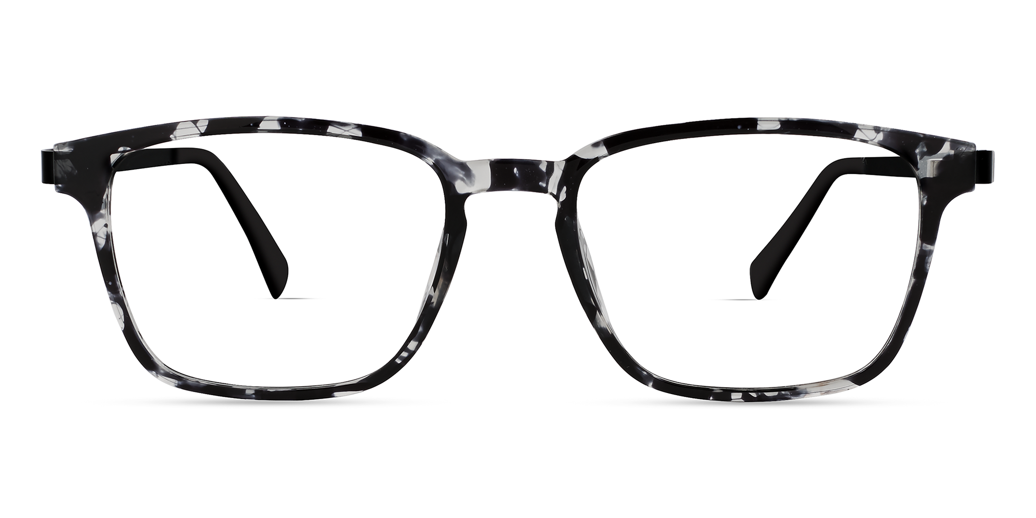 Grey Tortoise