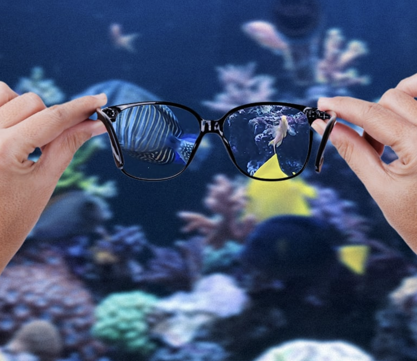 Welcome to our store!