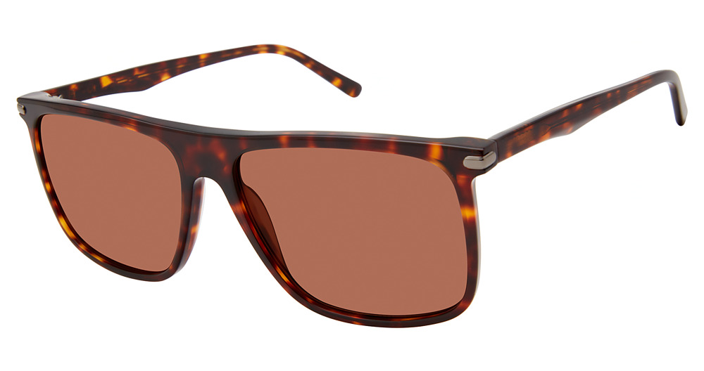 Tortoise / Brown Solid