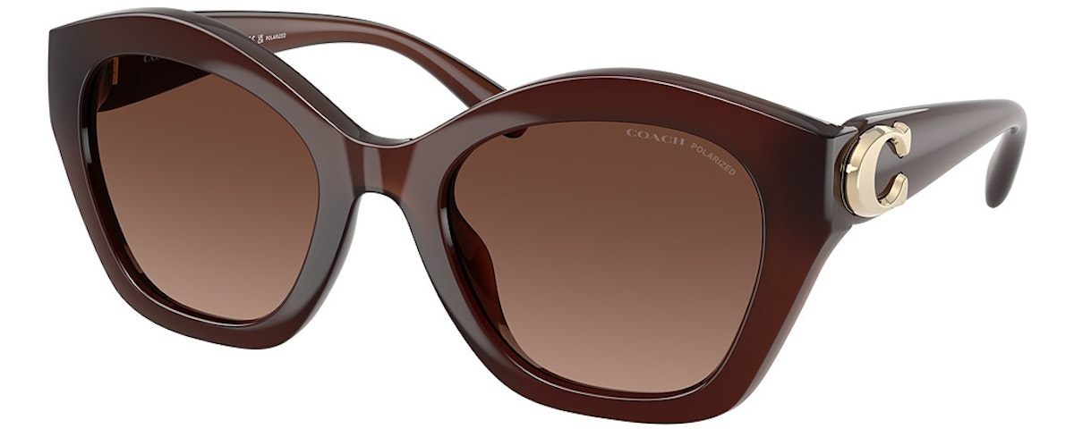 MILKY HAZELNUT / BROWN GRADIENT POLAR