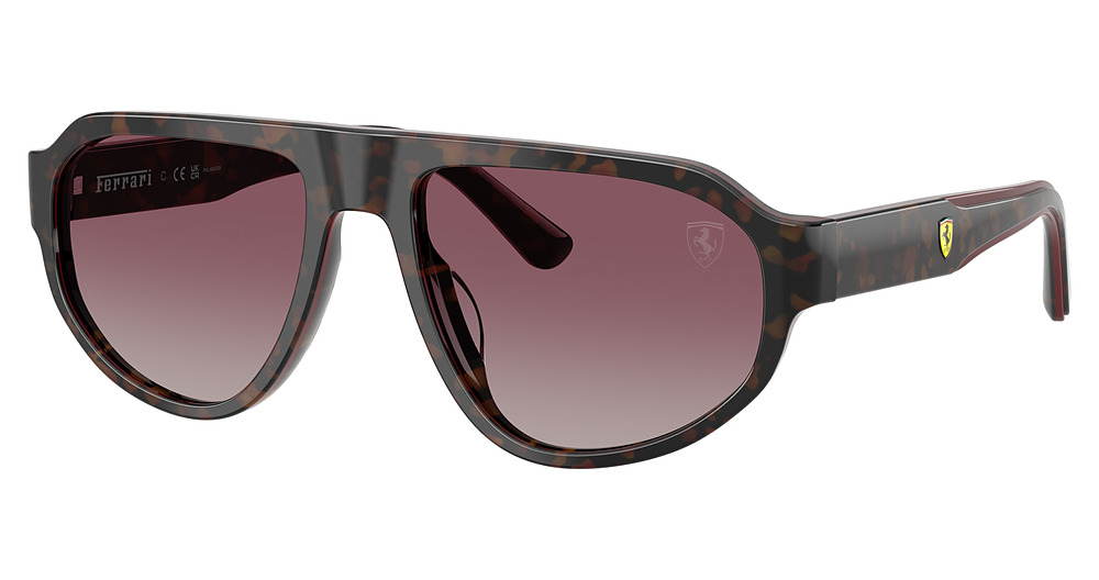 HAVANA SHINY+BURGUNDY+HA / RED GRADIENT POLAR