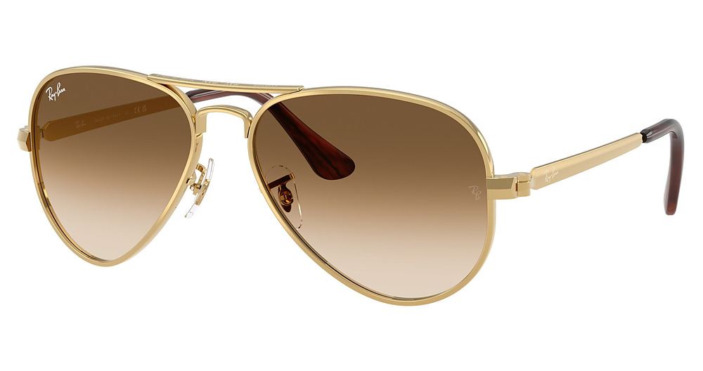 ARISTA / CLEAR GRADIENT BROWN