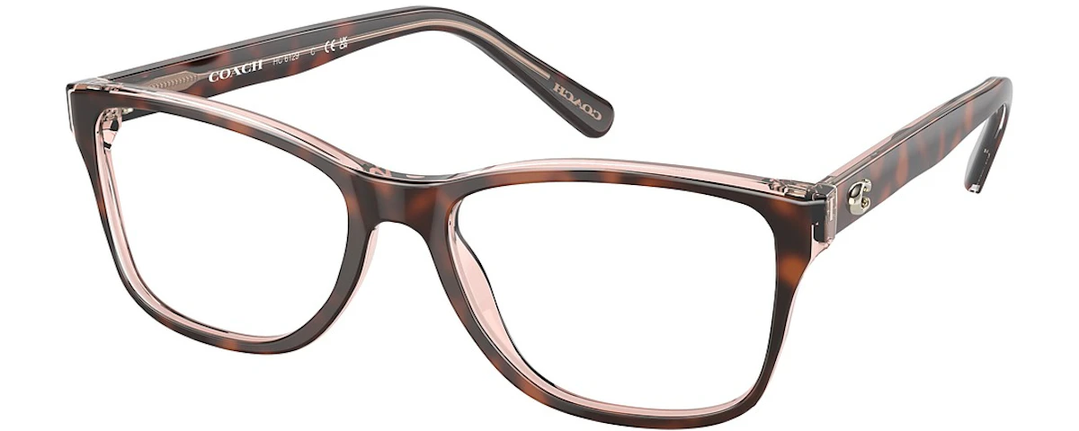 TORTOISE ON TRANSPARENT