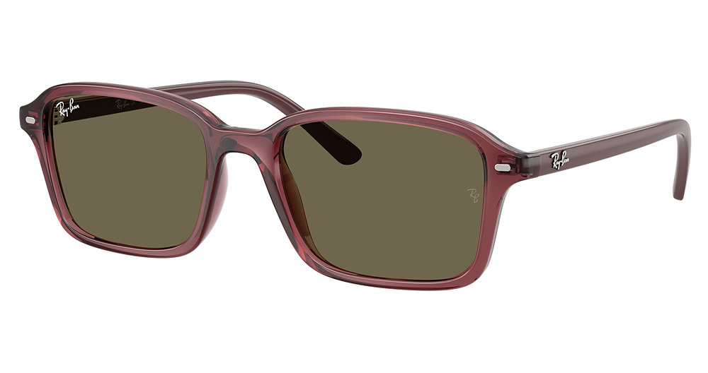 Ray-Ban RJ9131S square sunglasses in Transparent Dark Violet/Brown