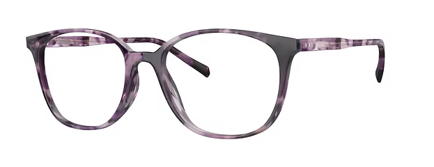 PURPLE CRUNCH TORTOISE