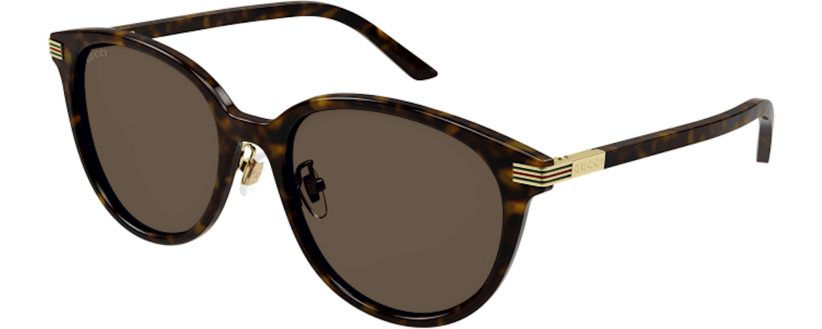 HAVANA / BROWN