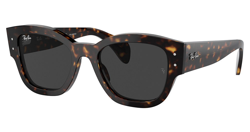 Ray-Ban RB7681S JORGE sunglasses in Havana/Polarized Black