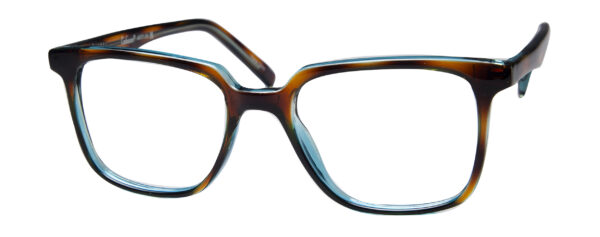 Tortoise/Blue
