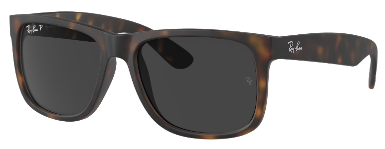 RUBBER HAVANA / DARK GREY POLAR