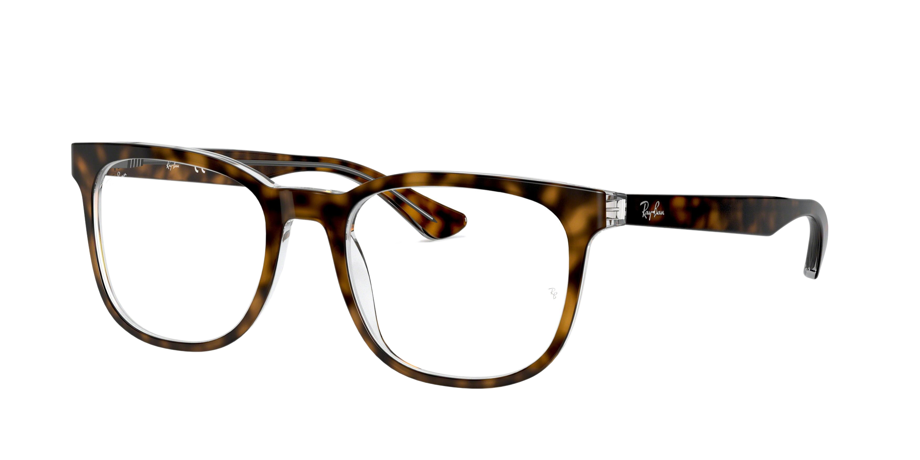 TOP HAVANA ON TRANSPARENT