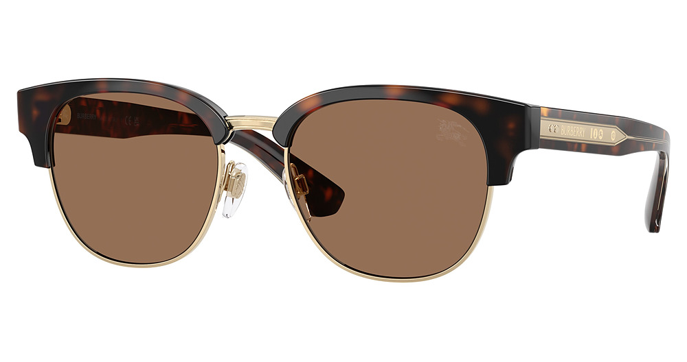 DARK HAVANA / DARK BROWN