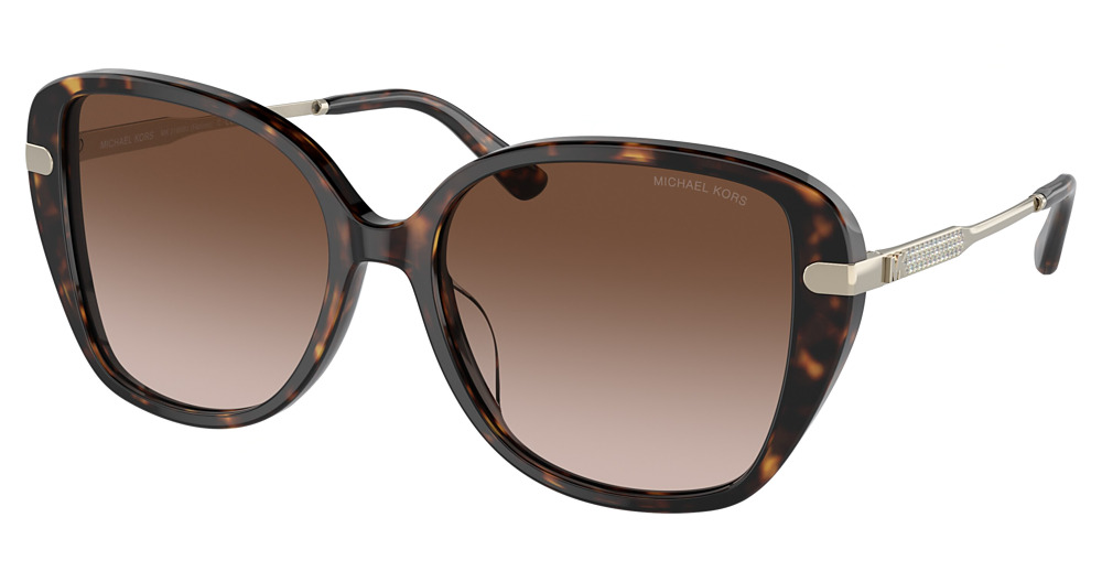 DARK TORTOISE / BROWN GRADIENT