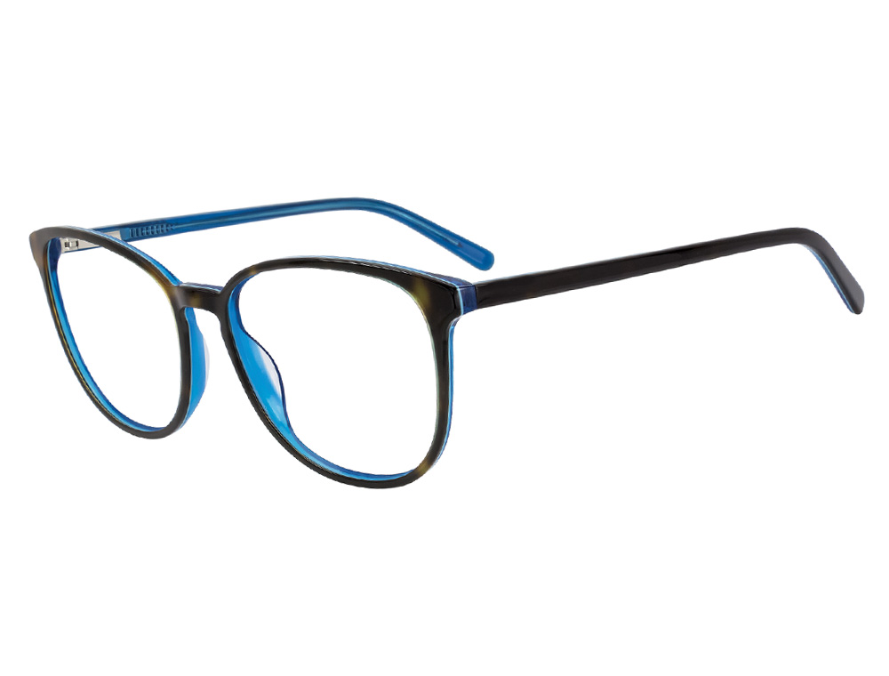 Tortoise/Blue