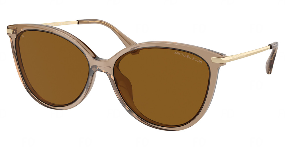 BROWN TRANSPARENT / DARK BROWN - POLAR