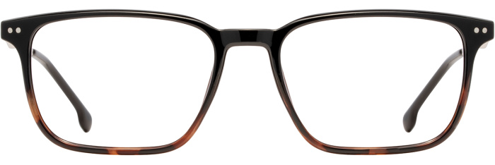 Black / Tortoise / Gold
