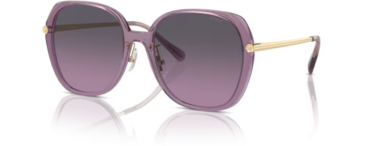 TRANSPARENT PURPLE / GREY PURPLE GRADIENT