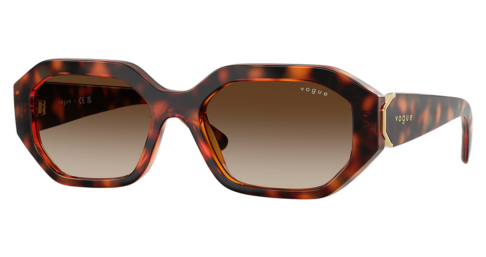 DARK HAVANA / BROWN GRADIENT