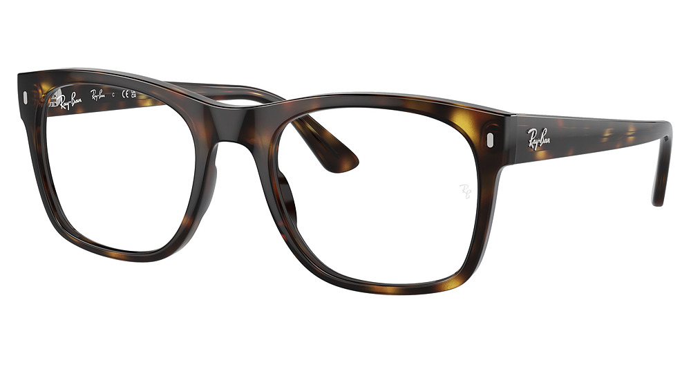 Ray-Ban RX7228F square eyeglasses in Havana