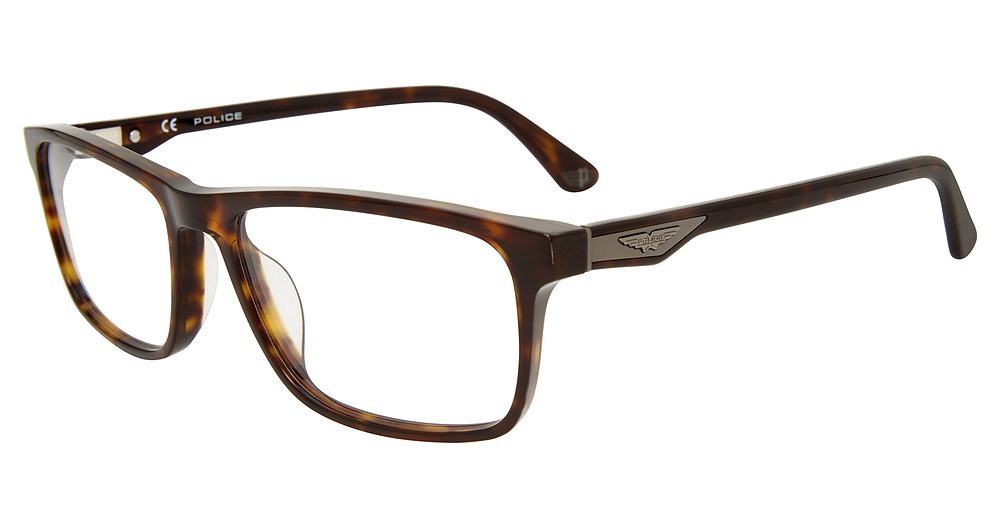 Tortoise 0722