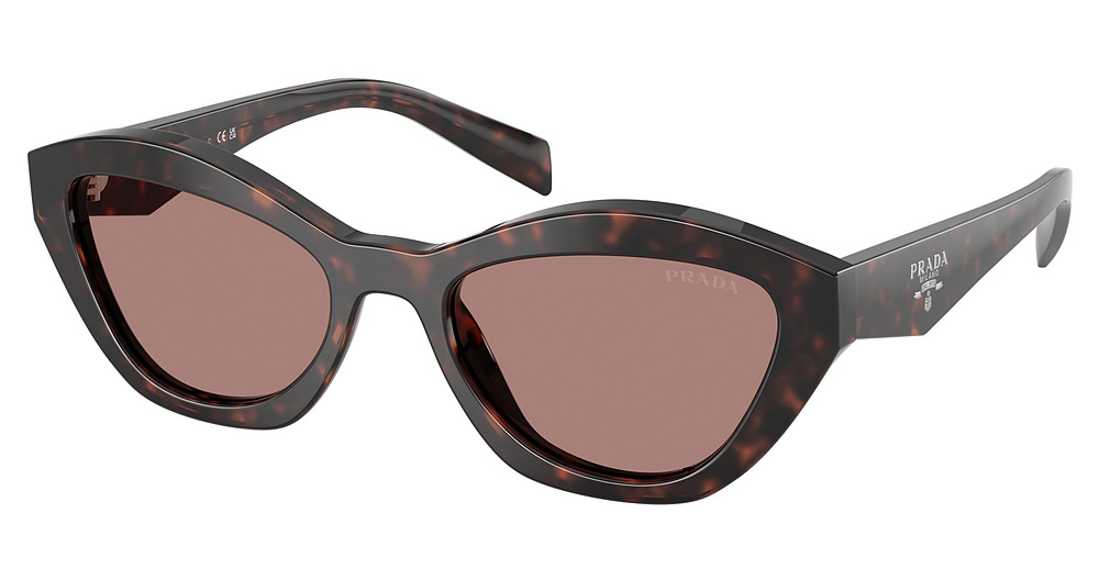 ROOT TORTOISE / LIGHT BROWN