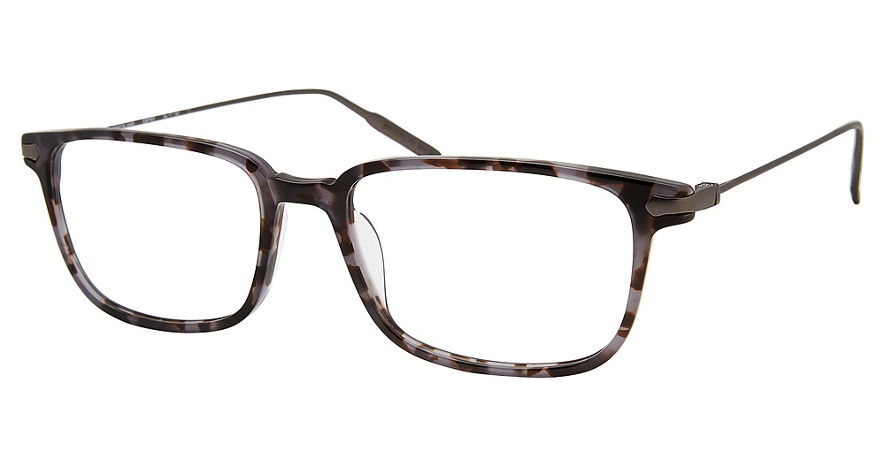 Grey Tortoise