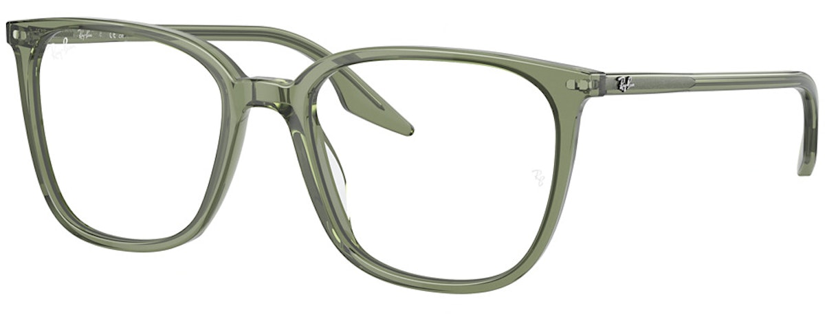TRANSPARENT SAGE GREEN