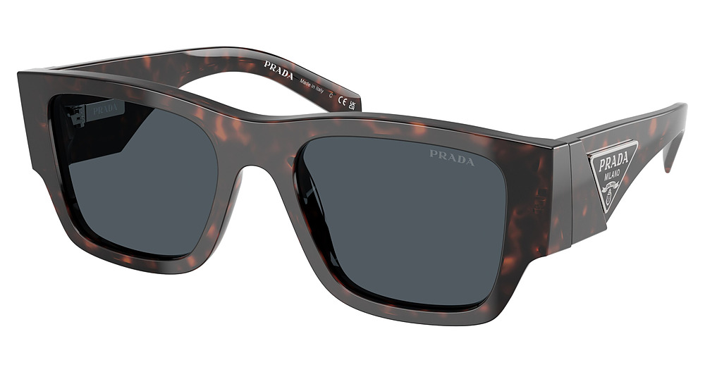 ROOT TORTOISE / DARK GREY