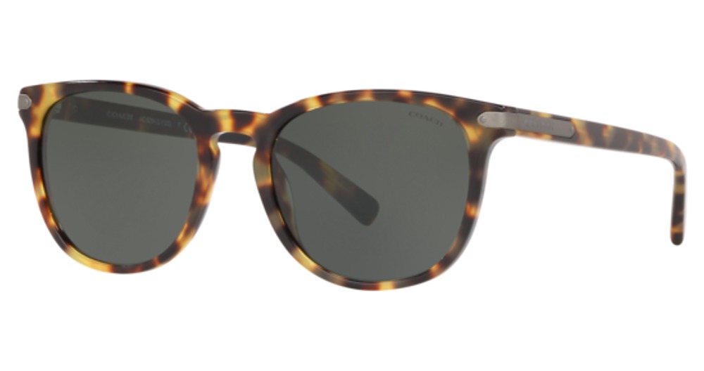 TOKYO TORTOISE / Dark Green