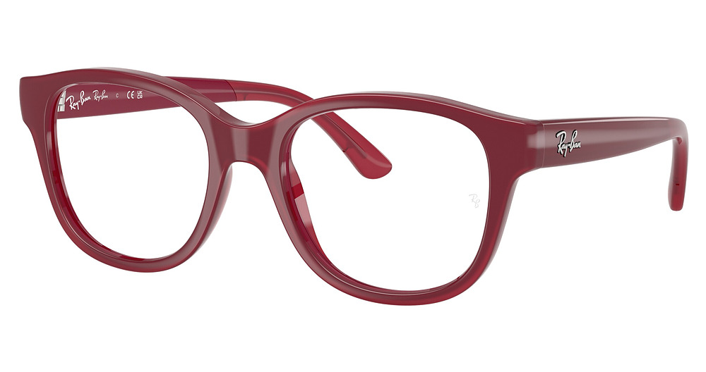 FUCSIA WITH TRANSPARENT