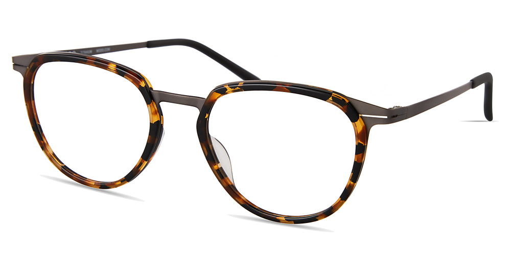 BLACK YELLOW TORTOISE