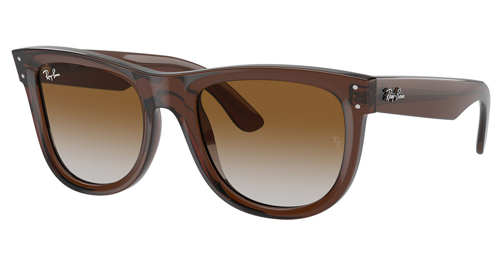 Ray-Ban RBR0502S WAYFARER REVERSE round sunglasses in Transparent Brown/Clear Gradient Brown