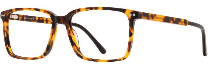 Tortoise / Black