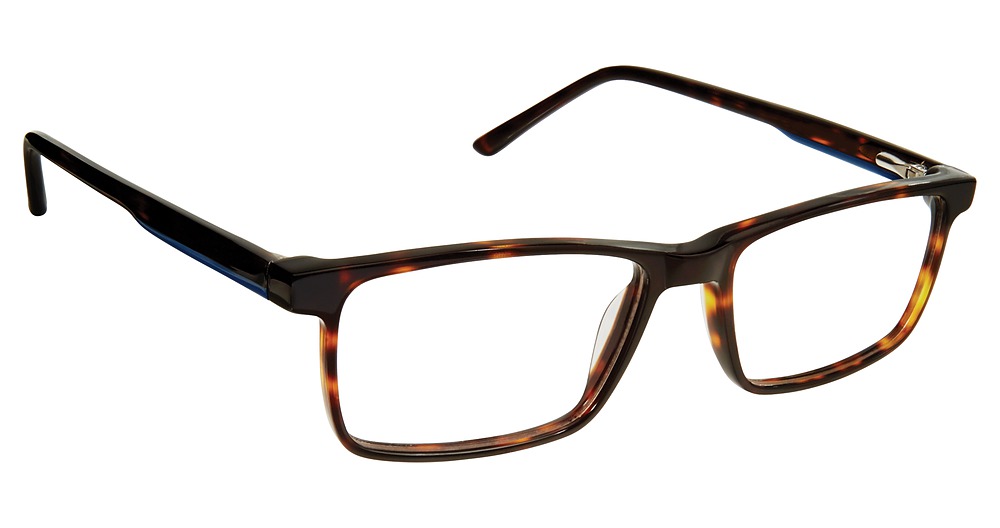 TORTOISE COBALT