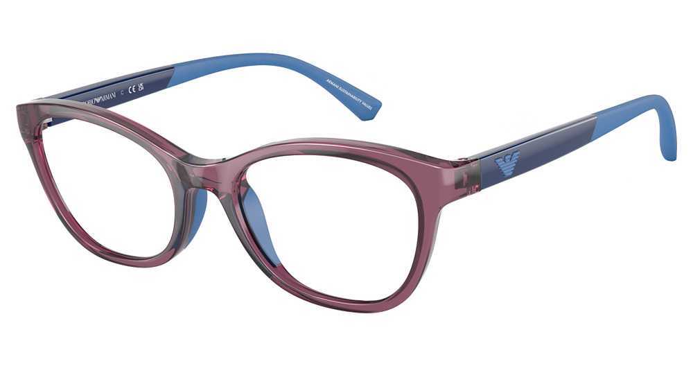 TRANSPARENT VIOLET