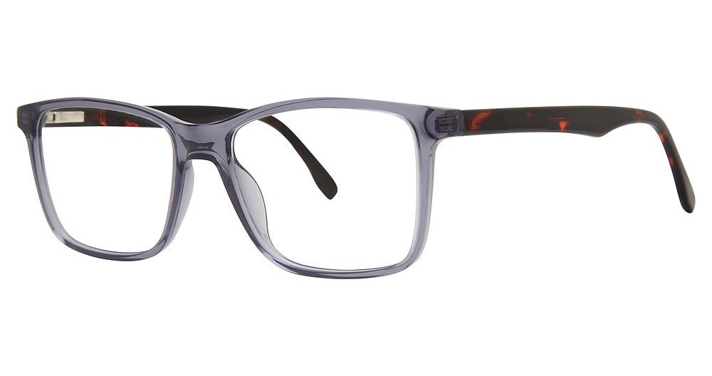 blue/tortoise