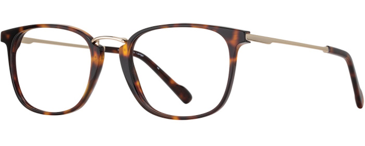 Tortoise / Gold