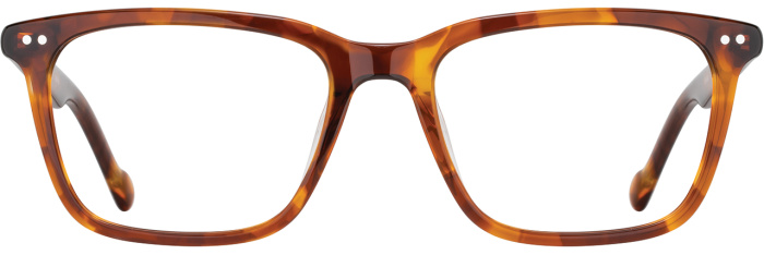 Amber Tortoise
