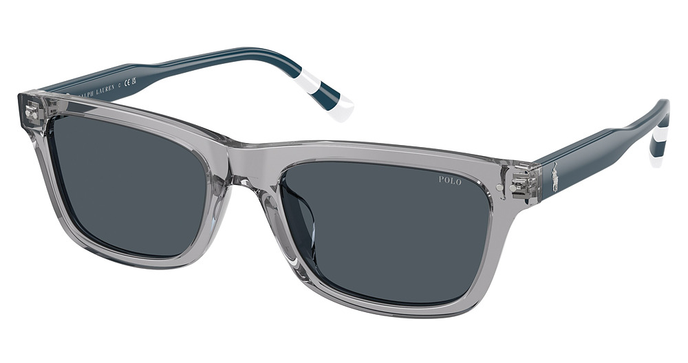 SHINY TRANSPARENT GREY / DARK GREY