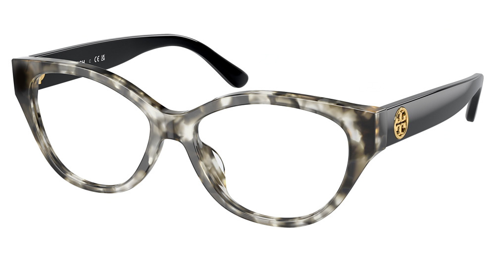 BLACK TORTOISE