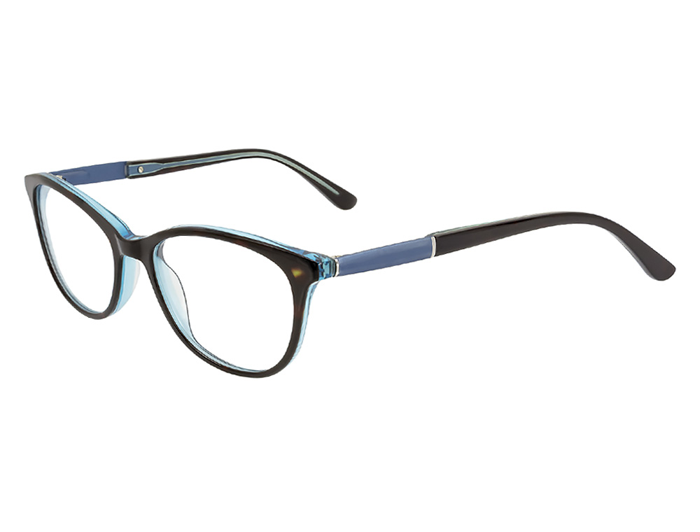Tortoise/Aqua