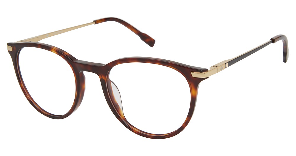 TORTOISE/GOLD