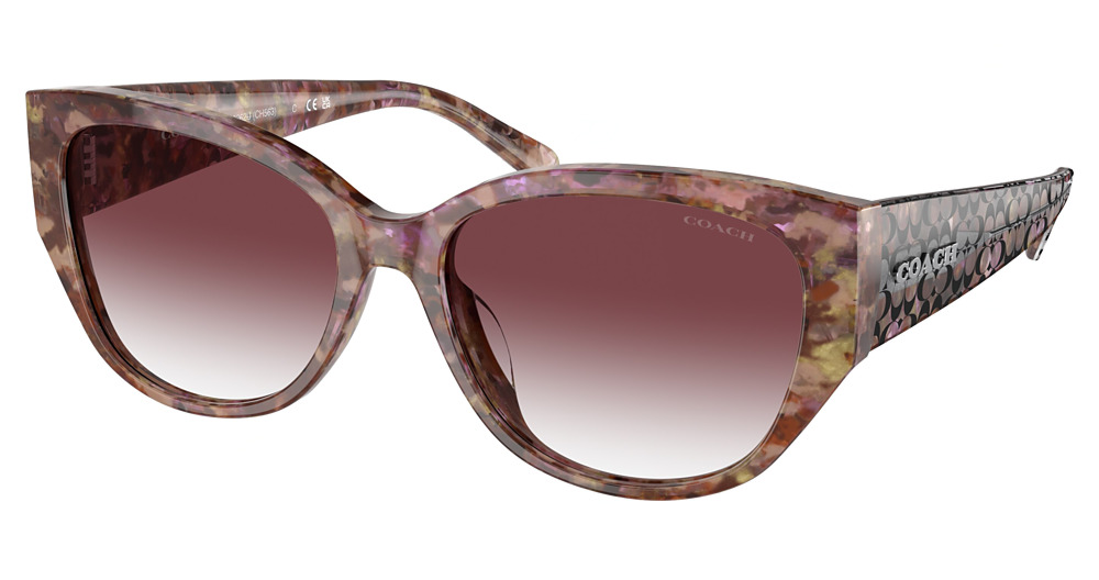 PETAL TORTOISE / PURPLE CLEAR GRADIENT